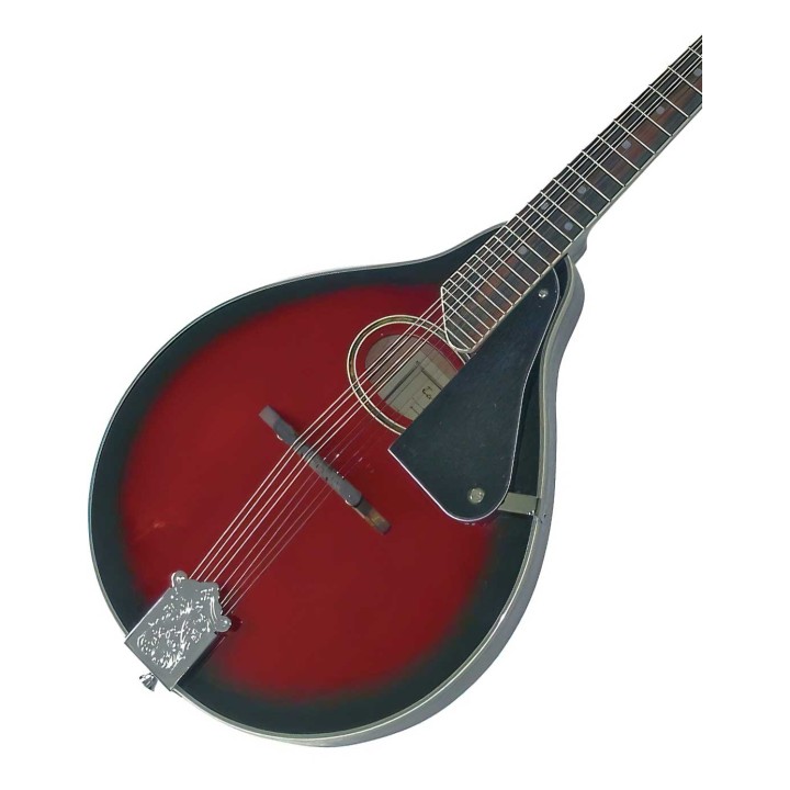 Tenson A-1, F505.400 Folk Mandoline, Hardwood Fingerboard , W / Bag, Sunburst