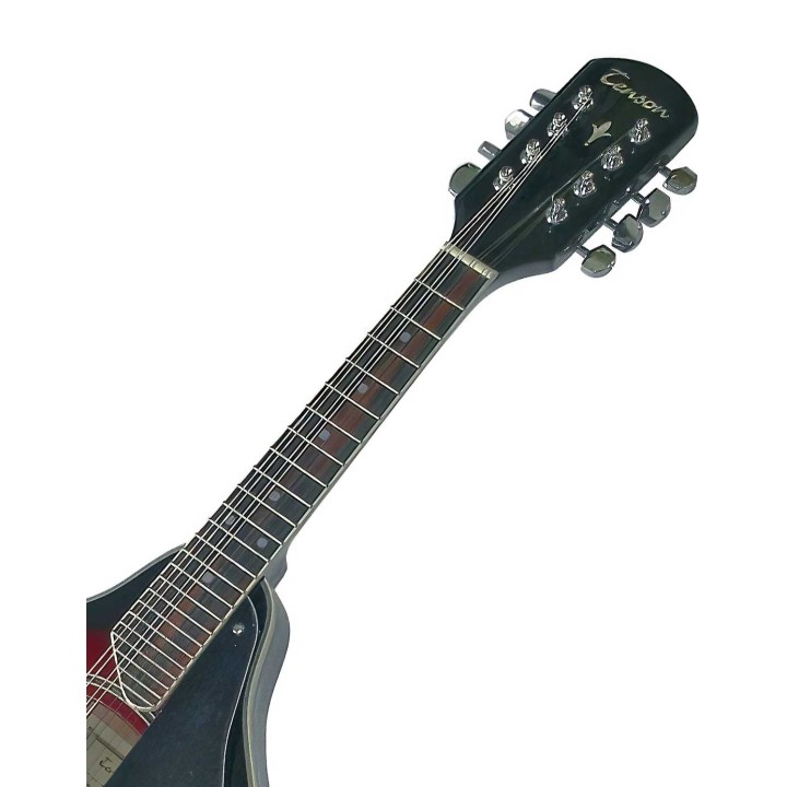 Tenson A-1, F505.400 Folk Mandoline, Hardwood Fingerboard , W / Bag, Sunburst