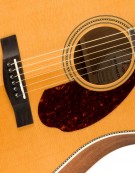 Fender PM-1 Standard Dreadnought, Ovangkol Fingerboard, Includes Deluxe Hardshell Case, Natural