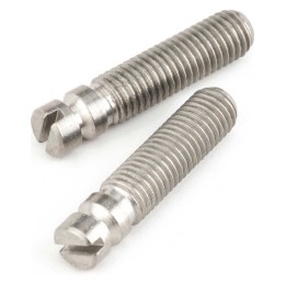Fender Bridge Pivot Screws (2)