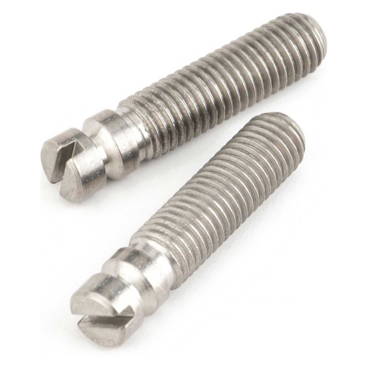 Fender Bridge Pivot Screws (2)