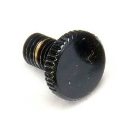 Fender Floyd Rose® Original Fine Tuning Screw (piece)