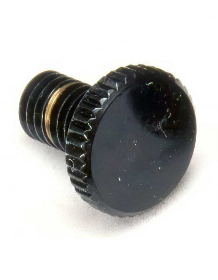 Fender Floyd Rose® Original Fine Tuning Screw (piece)