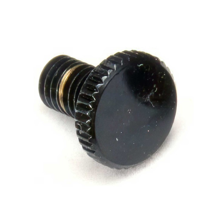 Fender Floyd Rose® Original Fine Tuning Screw (piece)