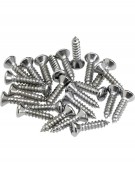 Fender Pickguard/Control Plate Mounting Screws (24) (Chrome)