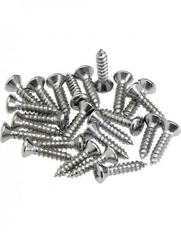 Fender Pickguard/Control Plate Mounting Screws (24) (Chrome)
