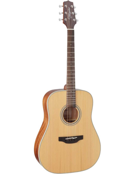 Takamine GD20-NS