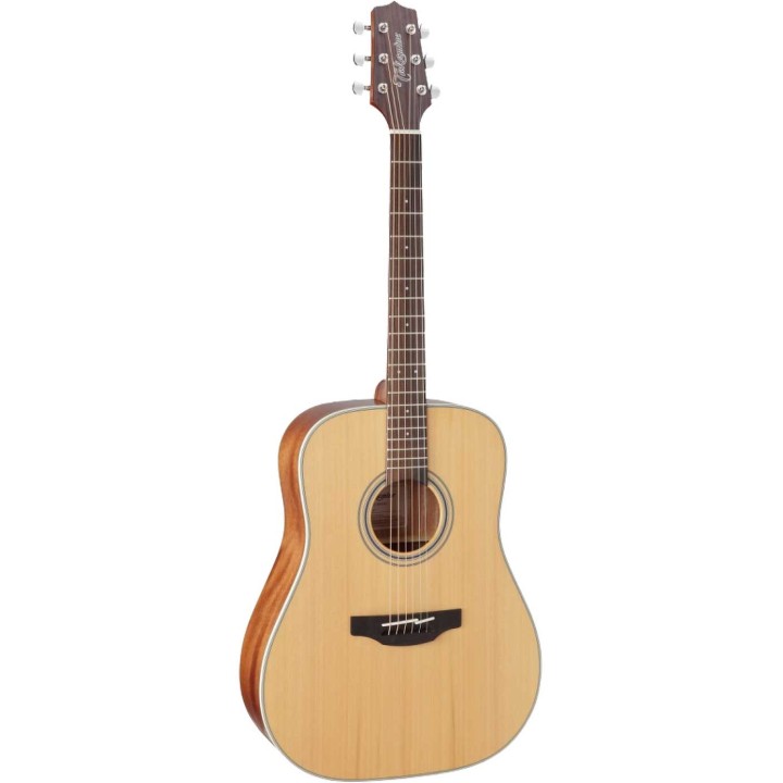 Takamine GD20-NS