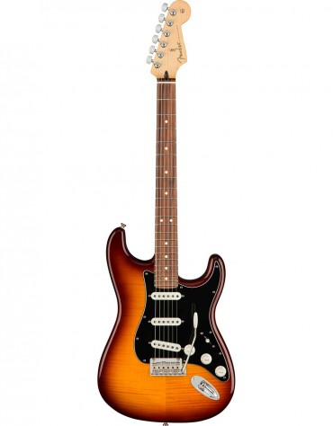 Fender Player Stratocaster® Plus Top, Pau Ferro Fingerboard, Tobacco Burst