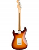 Fender Player Stratocaster® Plus Top, Pau Ferro Fingerboard, Tobacco Burst