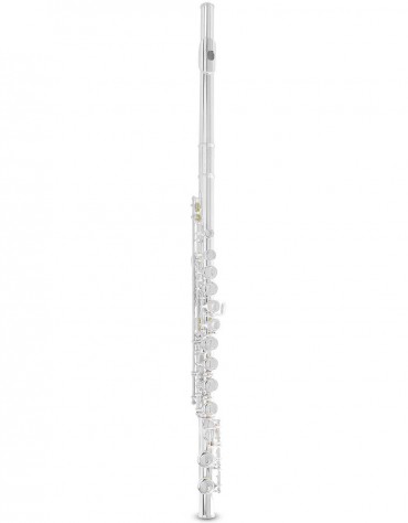 Armstrong Flute FL650E, 701.111
