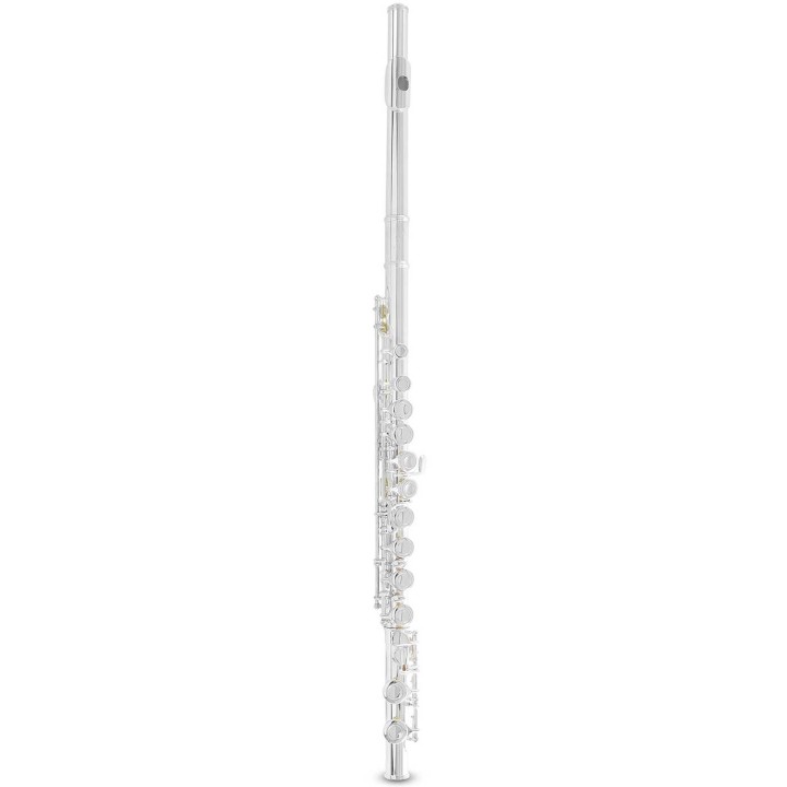 Armstrong Flute FL650E, 701.111