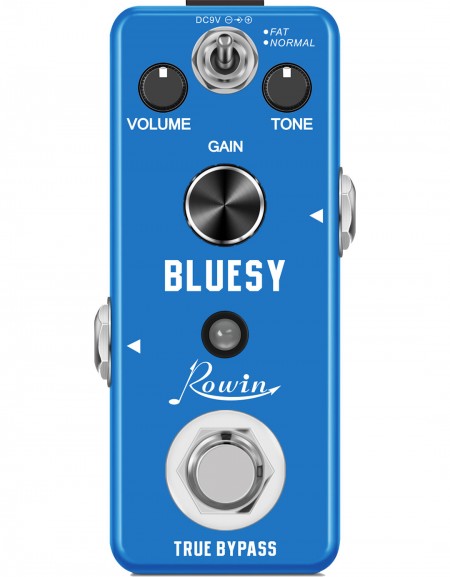 Rowin LEF-321 Bluesy