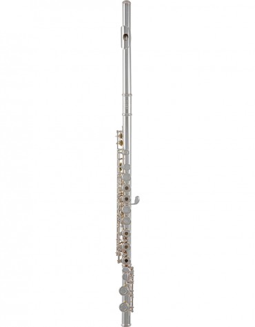 Roy Benson Flute FL-402R2, RB700.414