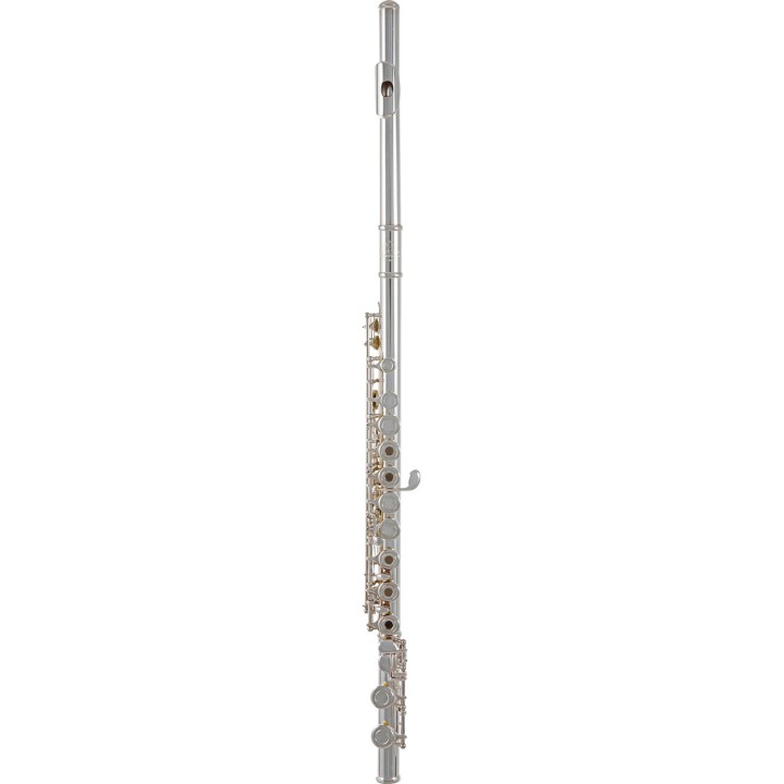 Roy Benson Flute FL-402R2, RB700.414