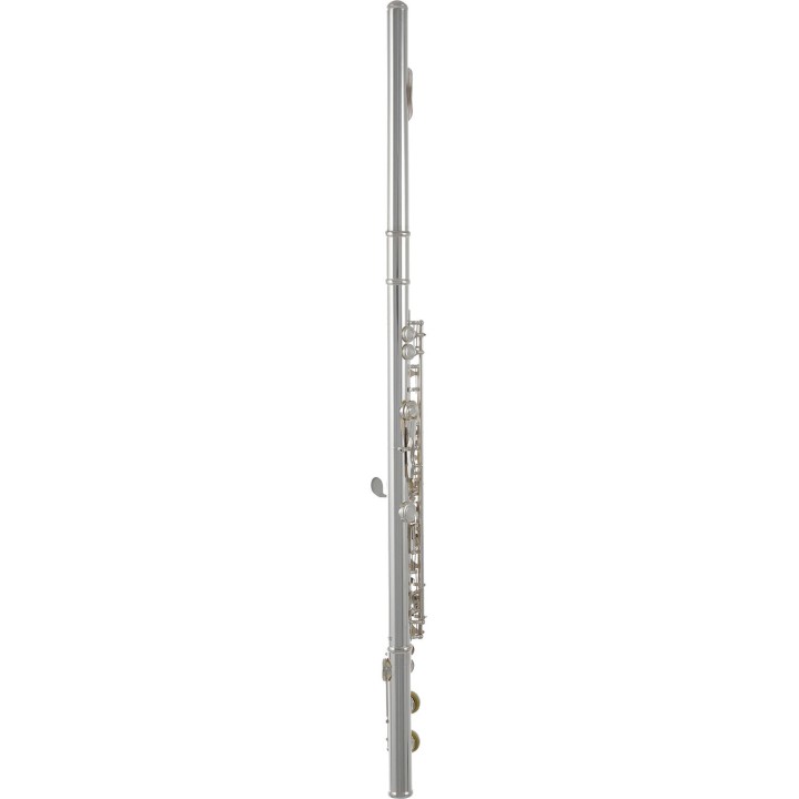 Roy Benson Flute FL-402R2, RB700.414