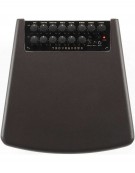 Ibanez T80II-U TROUBADOUR