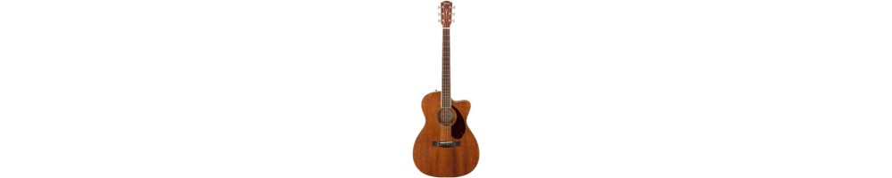 Acoustic Guitars