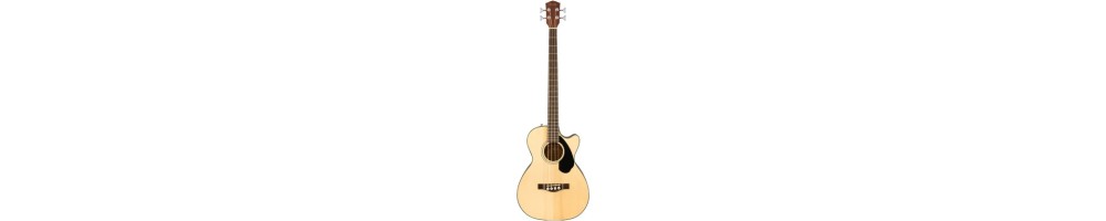 Acoustic Bass Guitars