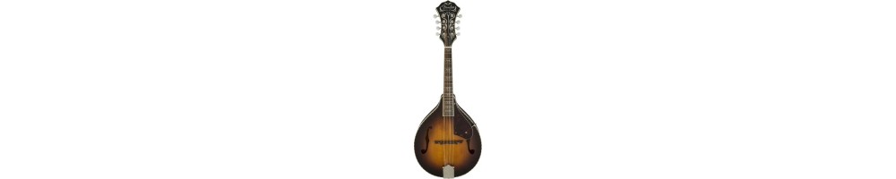 Mandolin