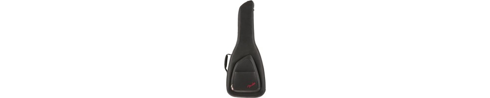 Gig Bags / Hardshell Cases
